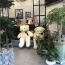 백곰경양식 이미지