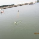 행운낚시터 이미지