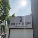 모모와 함께 방문한 대구강아지유치원 호텔 교육 전문 꿈틀반려견센터 방문 상담 후기 픽업 주차 수강료