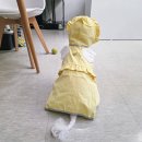 김포한강2로-L 네이버블로그
