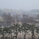 다인사우나헬스 이미지