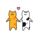 바른동물병원 이미지