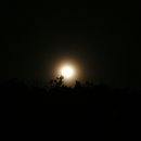 금산마을 이미지