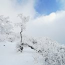 평창 계방산.. 눈꽃, 아쉬운 하늘... 이미지