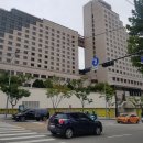 연세거평의원 이미지