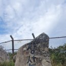 장산억새밭 이미지