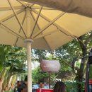 쇼펠리스 이미지