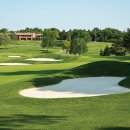 TOP GOLF클럽 이미지