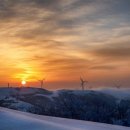 새말목장 이미지