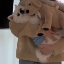 이지김밥 | 이지더원파이브김밥공장