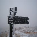 서석대 Daum카페