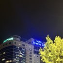군청 2청사 앞 | 대전 토요코인호텔 대전정부청사앞 숙박 후기