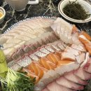 서정바당 이미지