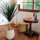 마포농원 이미지