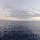 석양의추억 | 하와이선셋크루즈 석양 바다 미식 공연 추억