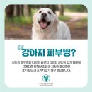 하단동물병원 이미지