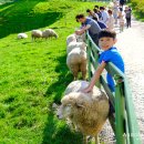 성강목장 이미지