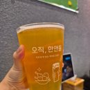 포항역 | 포항 한앤둘치킨 포항역점 레드고블린 솔직 후기