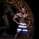 지투피트니스 이미지