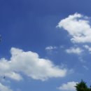 싸다김밥(장안점) 이미지