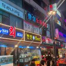 대포항회세꼬시