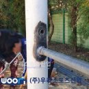 감정중학교 이미지