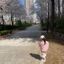 노벨티 | 아이 옷 추천]노스페이스 키즈 노벨티 올레마 자켓 140사이즈 후기, 봄 바람막이 사이즈 추천, 솔직 리뷰
