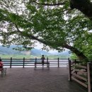 앙덕리 쉼터 티스토리
