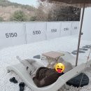 5150풀빌라