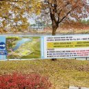 호수공원중앙수목원로 이미지