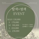 젤라헤어 이미지