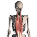 JJ피트니스 이미지