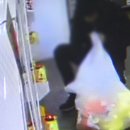 인형뽑기세상 이미지