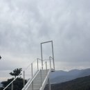 디저트포레스트 | 언양 카페) 파인 포레스트 디저트 카페 방문 후기