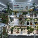 세븐일레븐(안양석수점) 이미지