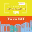 상림주식회사 이미지