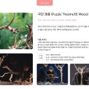 2024 천수만 festival 국제 1＆2인극제 개막공연(2) 극단 퍼즐 (Puzzle Theatre)의 Wood_캐나다팀 이미지