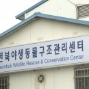 대학 동물병원 이미지