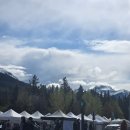 삼천1동-02(컴퓨터랜드 앞) | [캐나다 워홀] #5 밴프 파머스 마켓 후기｜수요일마다 열리는 로컬 마켓