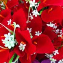 미광목장 이미지