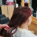 자자헤어 - 서초구 | 자자헤어