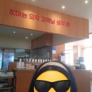 하마아구찜 상무점 내돈내산 솔직후기