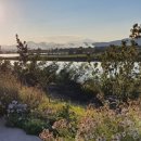 건강밝은약국 이미지