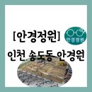 11545-08-00-30 | [안경원][인천 연수구 송도동] 안경테 가격에 기본 렌즈까지 해주는 야무진 "안경정원" 방문 후기