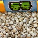 부안농수산물