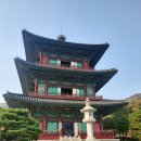 박순자 순대 이미지