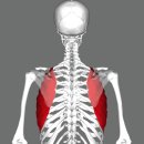 중부-현장-중부-1423 | 잠실체형관리 원장의 왼쪽 겨드랑이 아래 통증 원인 총정리, 리얼변화