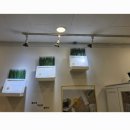 약산세탁소 이미지