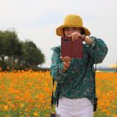 장성군농협조합공동사업법인 | 장성 여행에서 가져온 장성 특산물 소개 #페이지