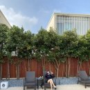 처럼풀빌라 하와이처럼 이미지